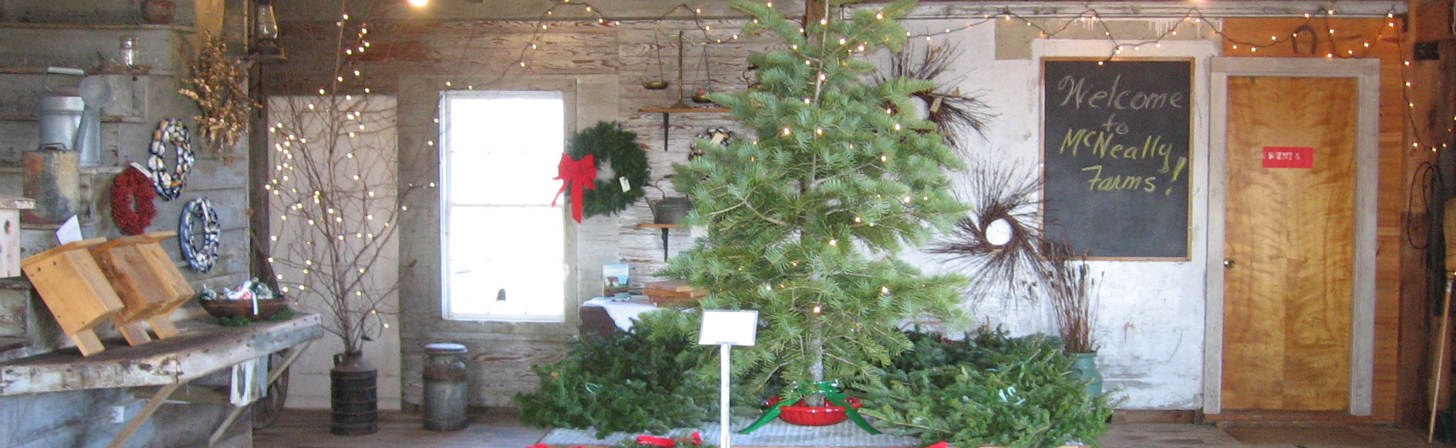 Balsam McNeally Farms