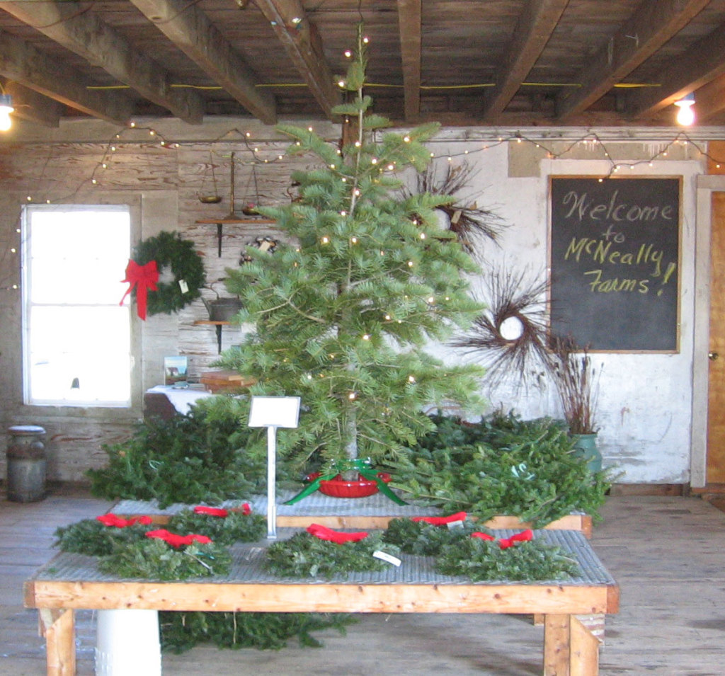 Balsam McNeally Farms